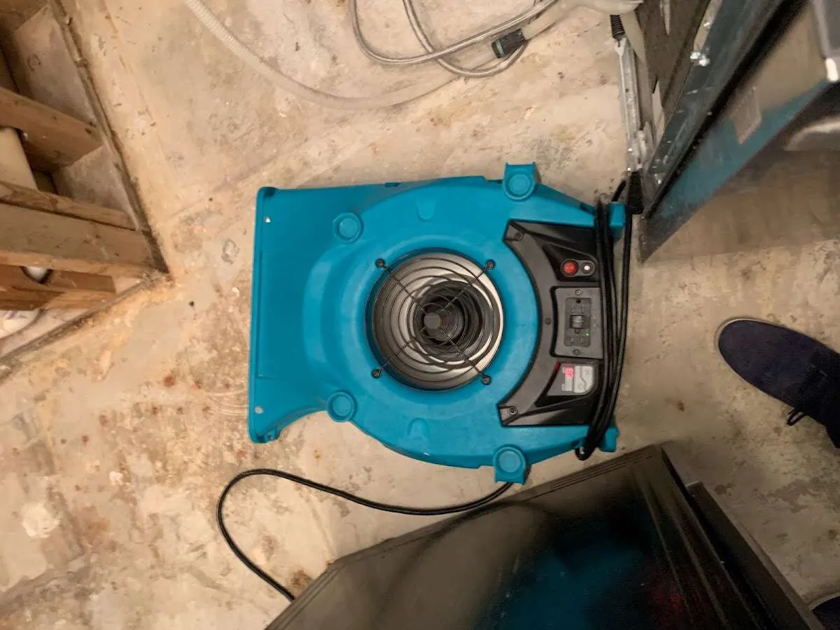 Air mover drying equipment for Mold Remediation & Removal in Raleigh
